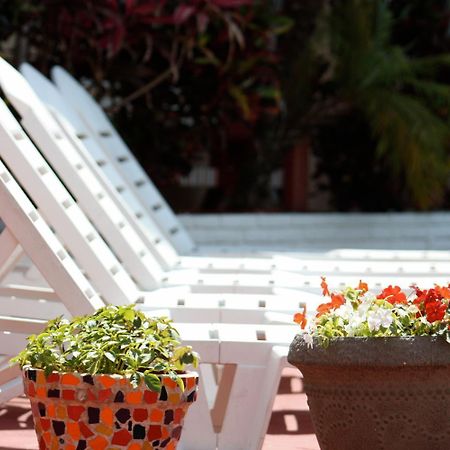 Beach And Town Motel Hollywood Ngoại thất bức ảnh