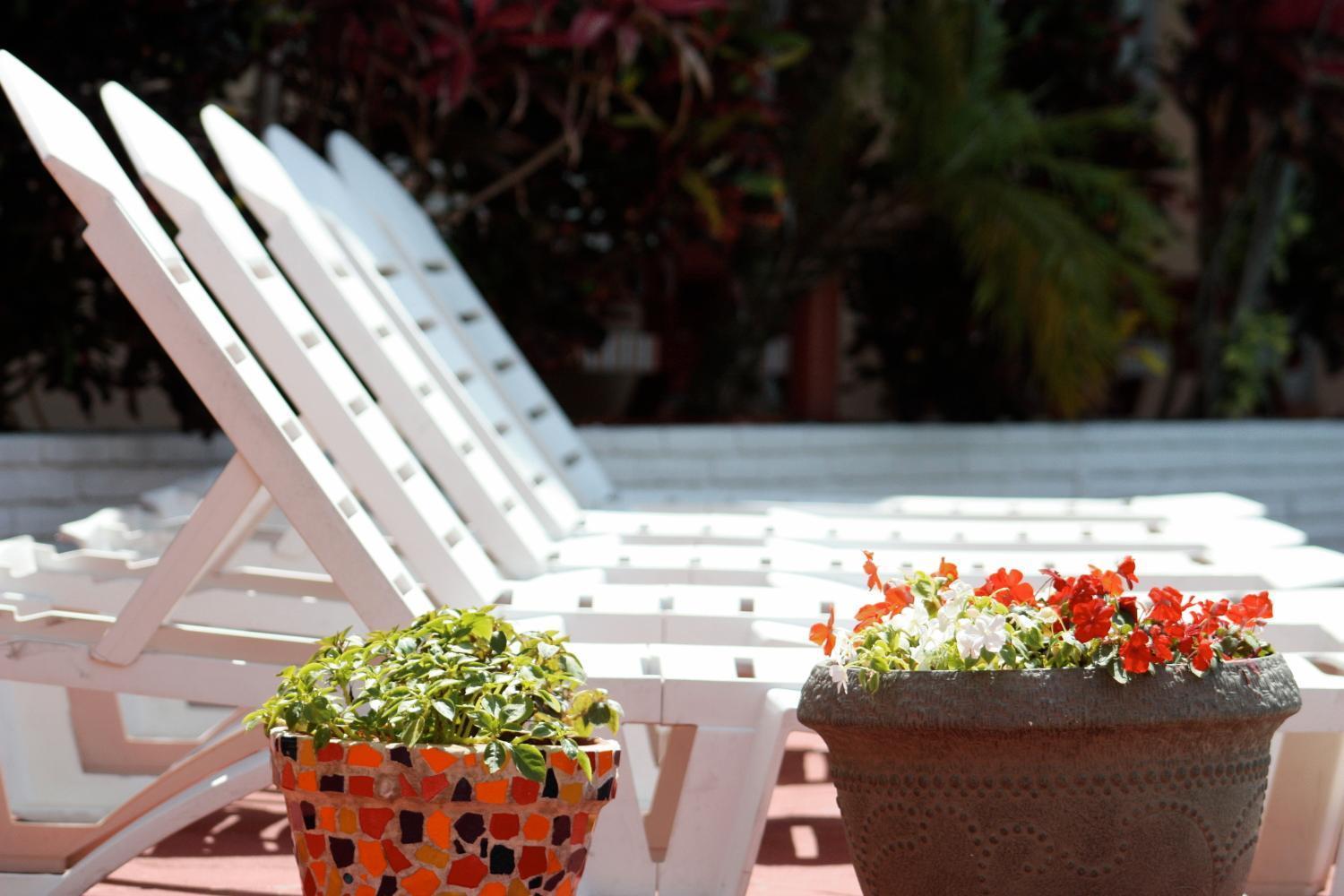 Beach And Town Motel Hollywood Ngoại thất bức ảnh